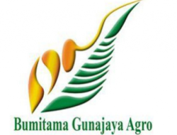 Lowongan Kerja PT Bumitama Gunajaya Agro April 2024 – OfficialKarir.com