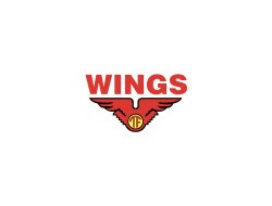 PT Aneka Mitra Gemilang (Wings Group)